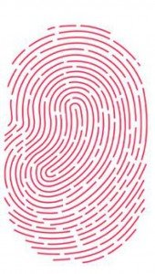 Fingerprint