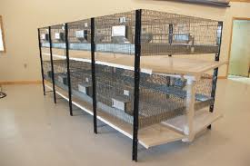 grasscutter cage